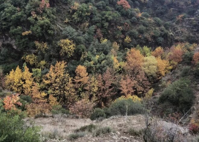 Bozdağ’da Sonbahar Güzellikleri